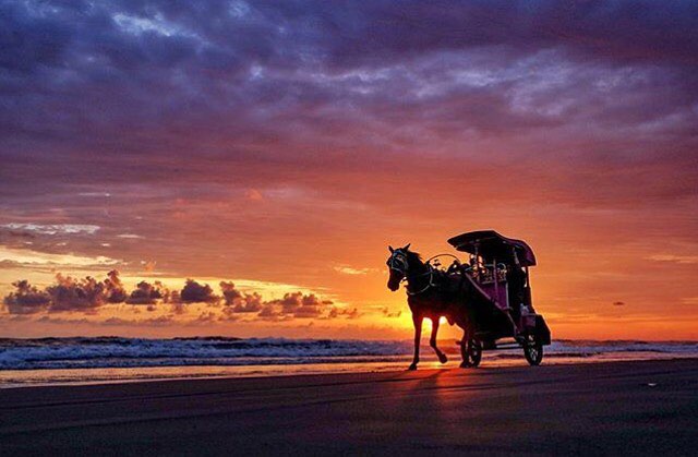 Parangtritis beach yogyakarta