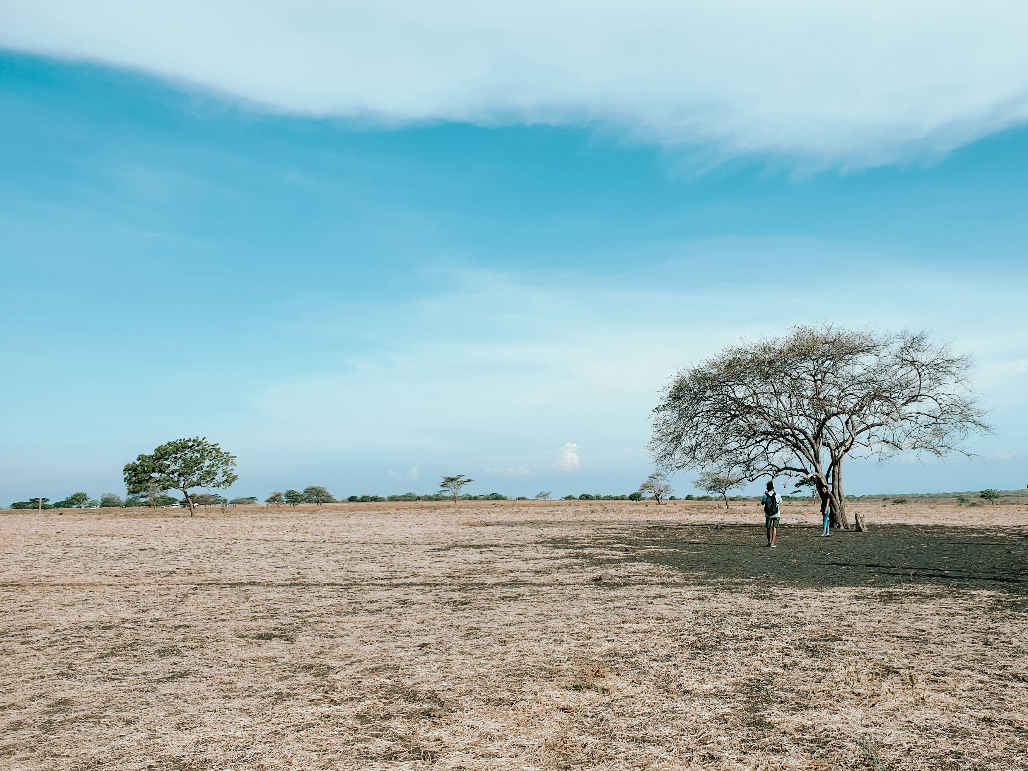 Taman Nasional Baluran